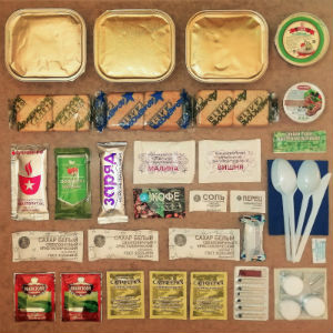 Армейский ИРП 21 в Дедовске