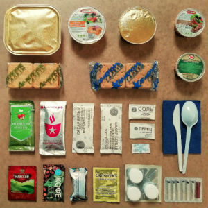 Армейский ИРП 9 в Дедовске