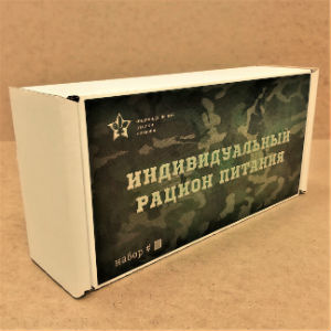 Армейский ИРП 17 в Дедовске